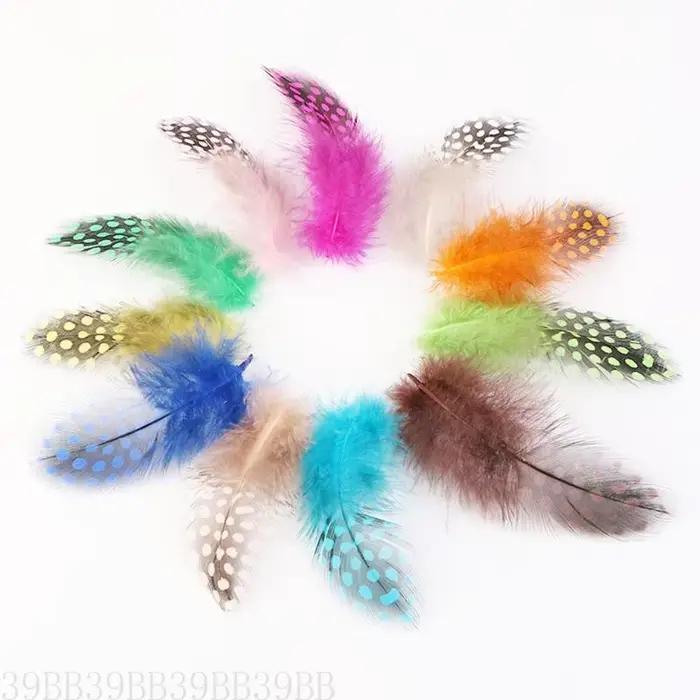 PACK 39BB 100 plumes naturelles colorées pour l'artisanat les décorations mariage