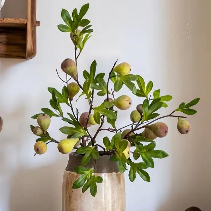 Branche de fausse figue avec fruit
