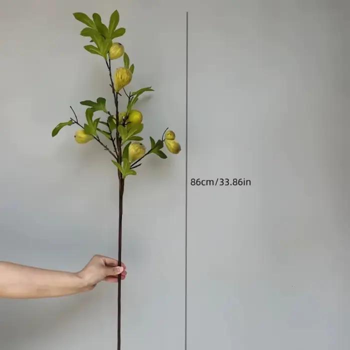 Branche de fausse figue avec fruit