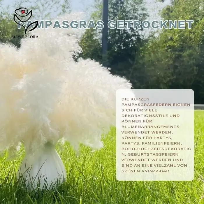 Bouquet de Pampa Blanche Naturelle vaccée