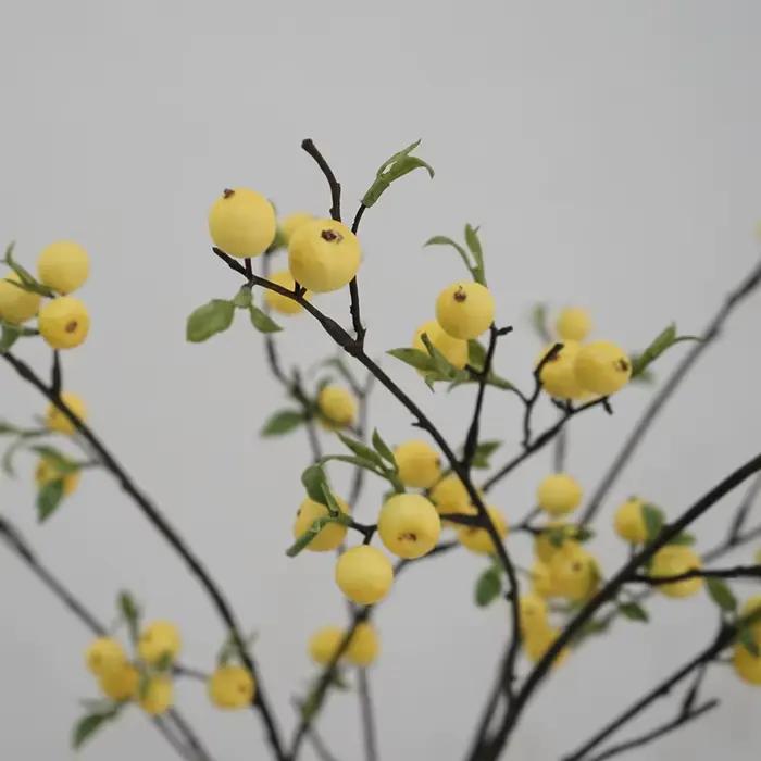 Branche de fleurs de baies pour la décoration de la maison