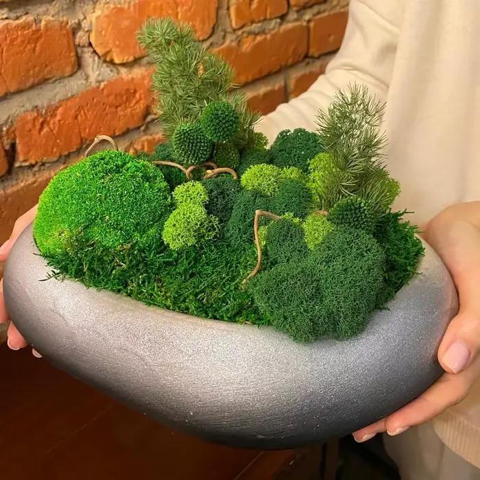 Plantes vertes artificielles, mousse éternelle, mousse artificielle préservée pour artisanat DIY, mini-paysage, fausse herbe, décoration de pot de plantes