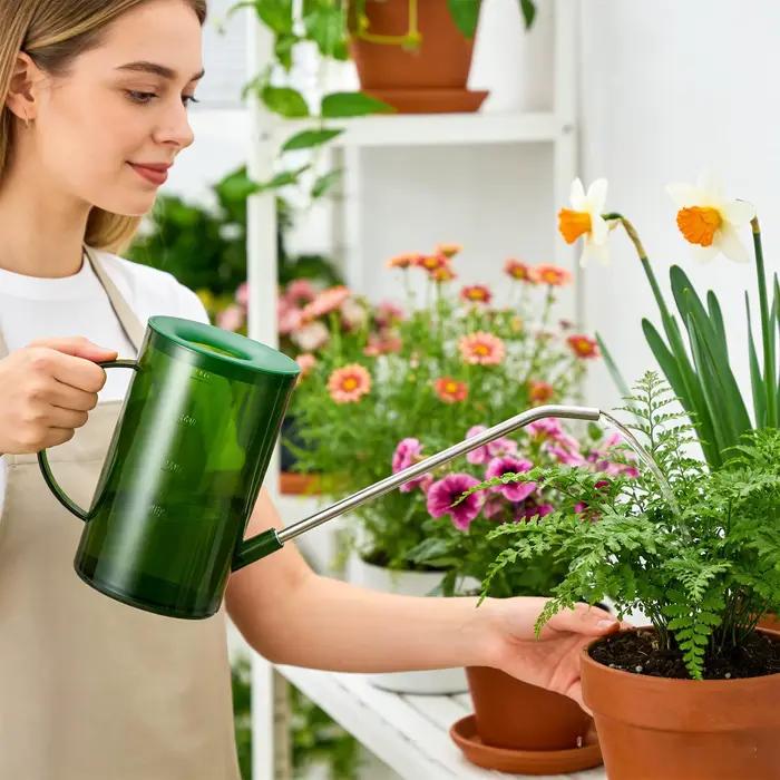Arrosoir d'intérieur 1L en plastique transparent à long bec pour plantes en pot