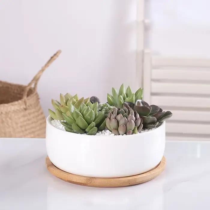 Pot de fleurs rond en céramique blanche, jardinière succulente, pot de plante quantique décoratif, récipient avec bambou, décoration de bureau à domicile