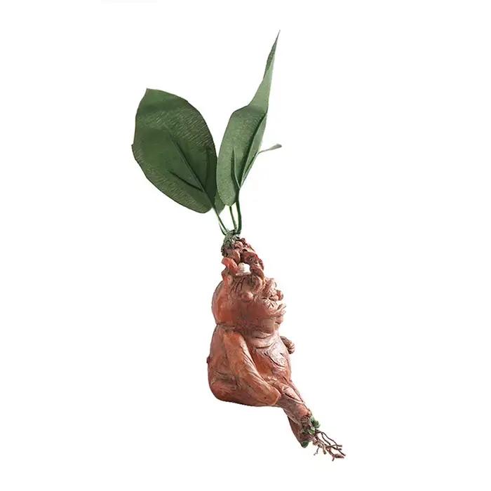 NOUVEAU Statue en résine de mandragore