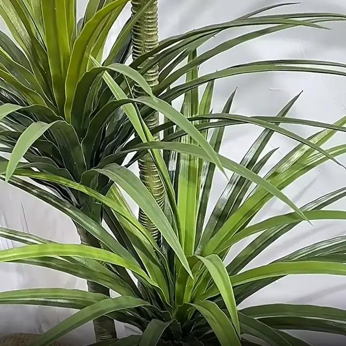 Plantes artificielles d'intérieur en pot Dracaena Fragrans modernes pour décoration intérieure événements spéciaux anniversaires cérémonies de graduation mariage