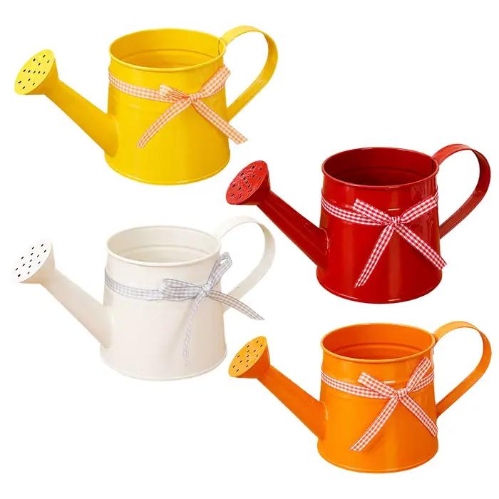 Arrosoir compact 1L avec tête de pulvérisation