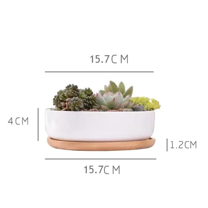 Pot de fleurs rond en céramique blanche, jardinière succulente, pot de plante quantique décoratif, récipient avec bambou, décoration de bureau à domicile