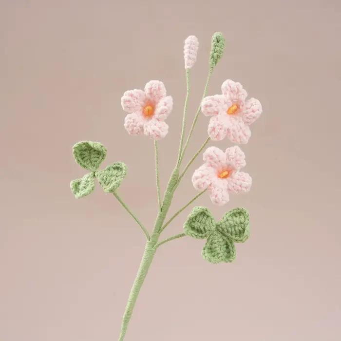 Bouquet au Crochet Oxalis mignon