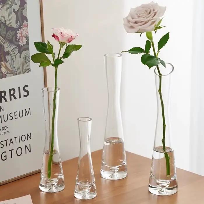 Vases en verre modernes pour fleurs hydroponiques