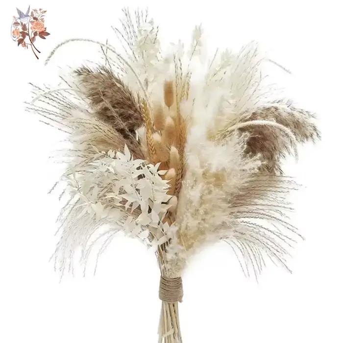 Bouquet de fleurs séchées naturelles d'herbe de Pampa