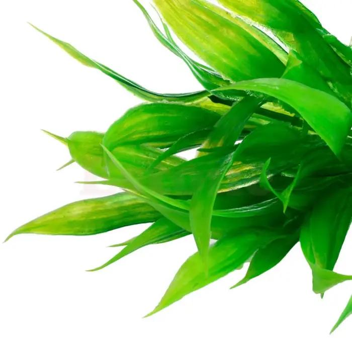 Plantes artificielles pour aquarium merveilleuses plantes sous-marines décoratives poissons cachettes habitat aquarium naturel-decoration