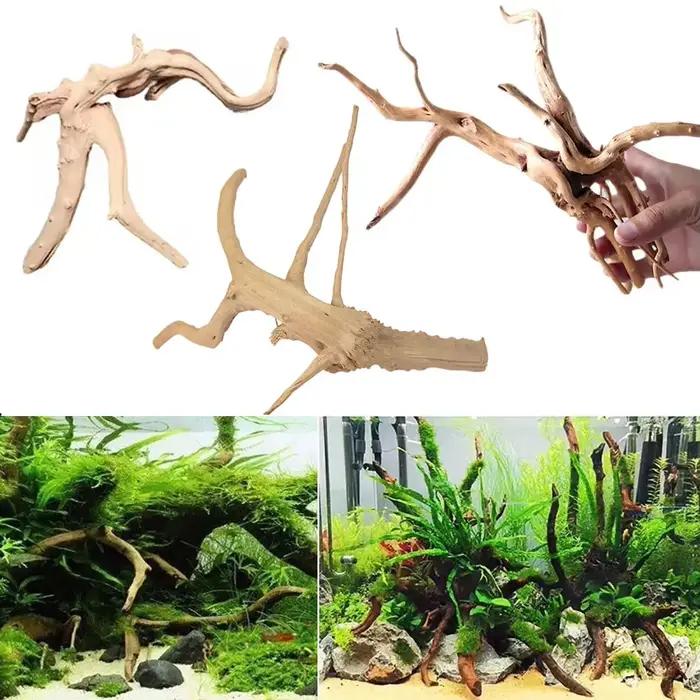Tronc d'arbre naturel pour décoration d'aquarium, ornement en bois coulé, poisson précieux, différentes formes