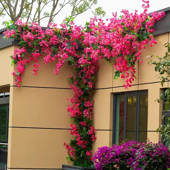 Fleur artificielle Bougainvillea en soie pour décoration de mariage, maison, jardin, occasions spéciales, anniversaires, cérémonies