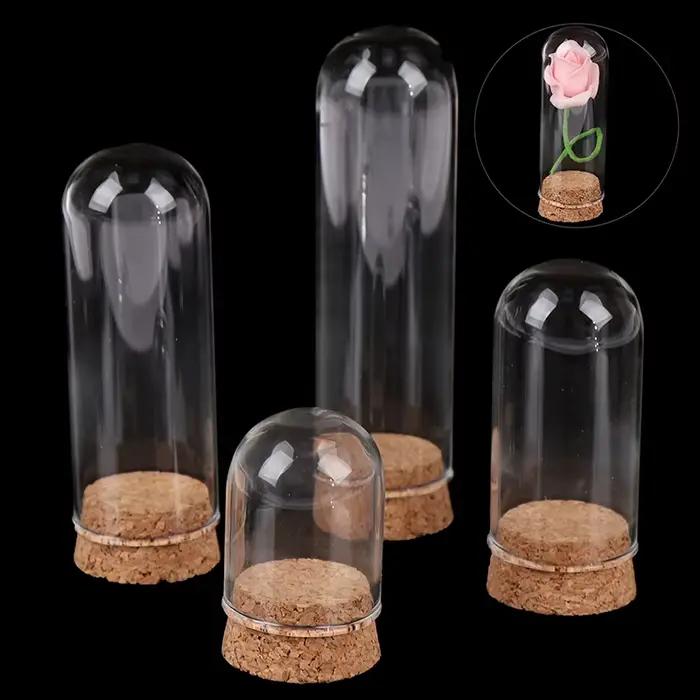 Présentoir en verre breton avec base en bois, cloche en liège, couvercle de bocal, artisanat de décoration de table, recommandé, Everche, 8cm