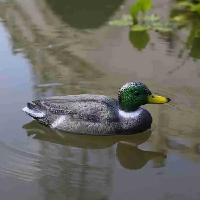 Statue de canard mandarin