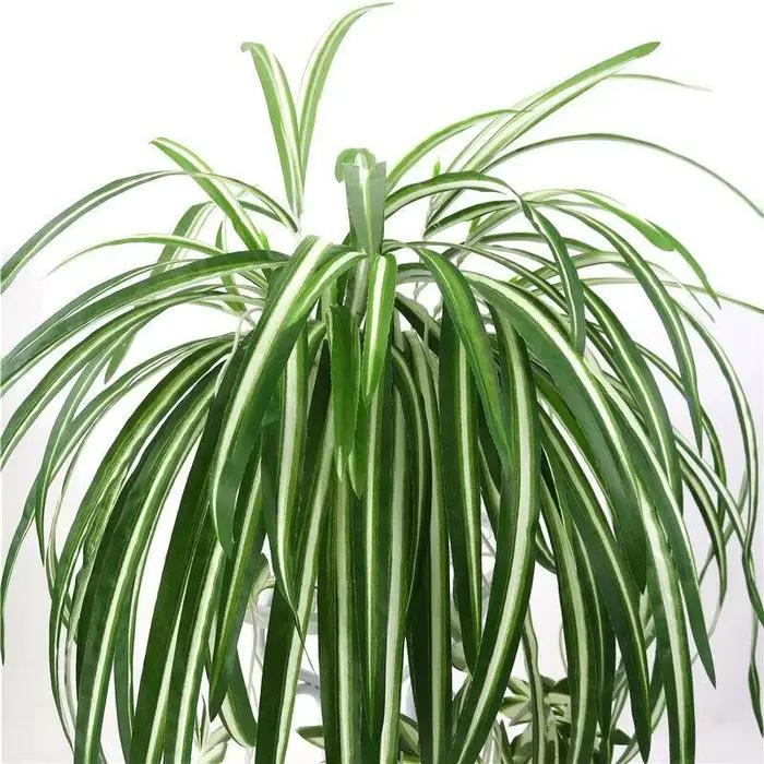Plantes Artificielles en PVC pour Décor de Salon
