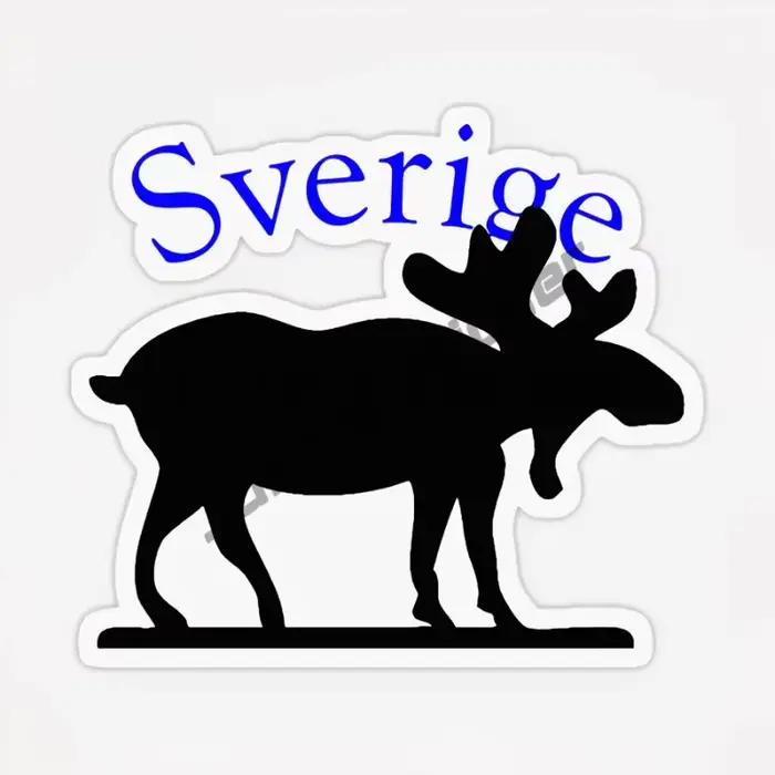 Suède Malmo Stockholm nuit ville autocollant créativité Sverige ADN patrimoine suédois ancêtre rond résistant à l'eau vinyle autocollants