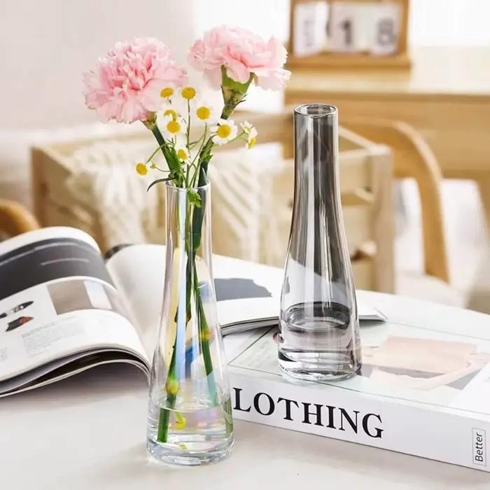Vases en verre modernes pour fleurs hydroponiques