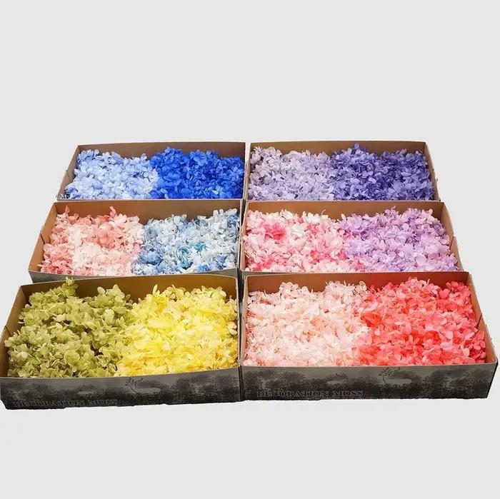 100G Grade B Hortensia en bois fleurs pour toujours