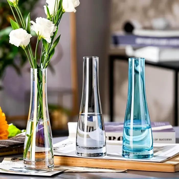 Vases en verre modernes pour fleurs hydroponiques