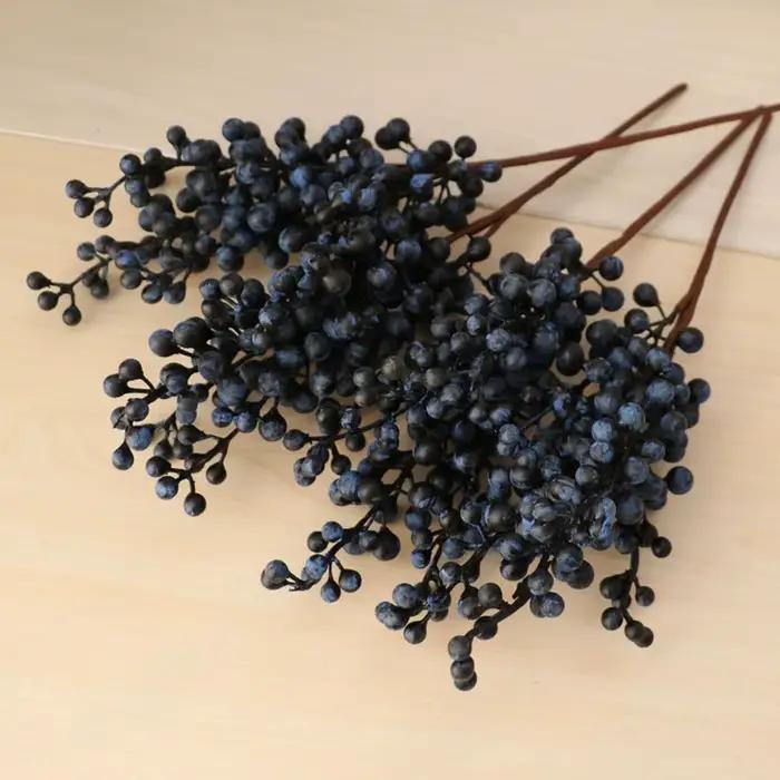 Rame de haricots rouges Bacca
