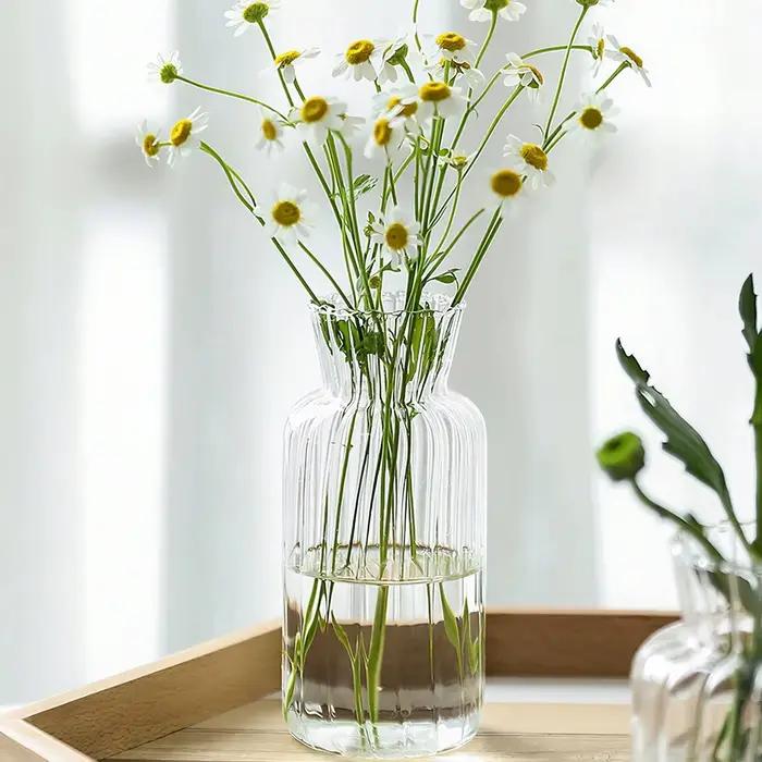Vases transparents créatifs nordiques