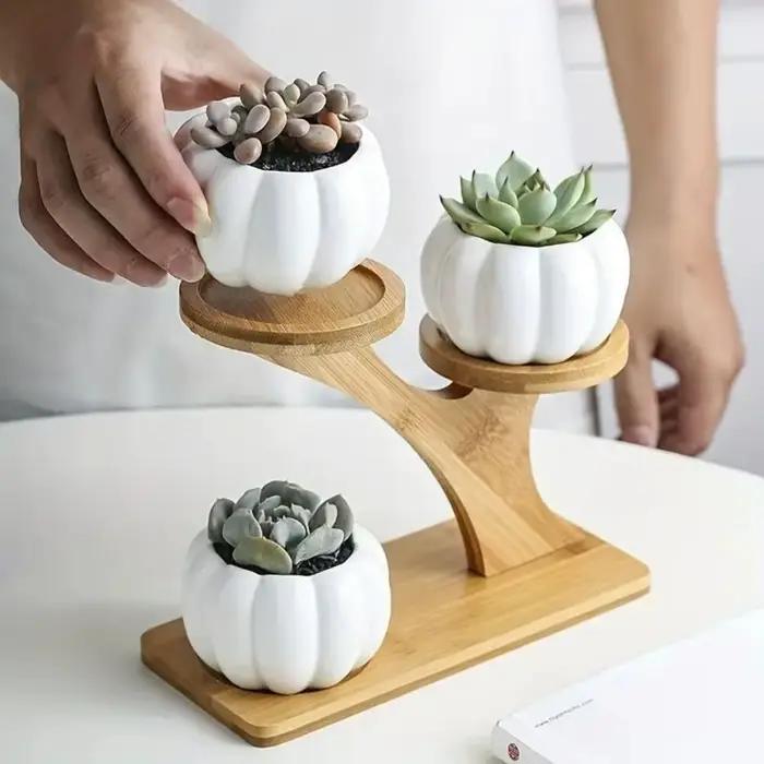 Étagère en bambou support de fleurs de bureau multicouche en forme de branche d'arbre
