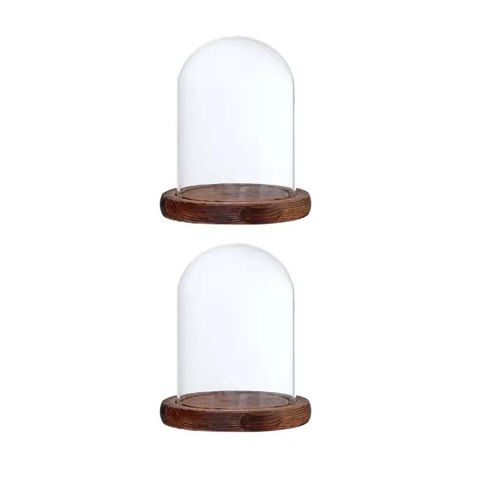 Présentoir en Verre Transparent avec Base en Bois pour Décoration