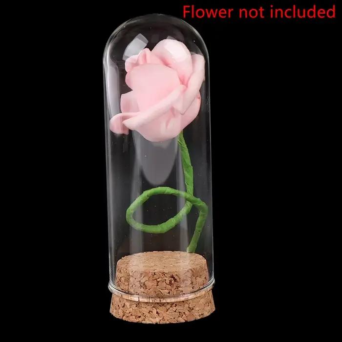 Présentoir en verre breton avec base en bois, cloche en liège, couvercle de bocal, artisanat de décoration de table, recommandé, Everche, 8cm