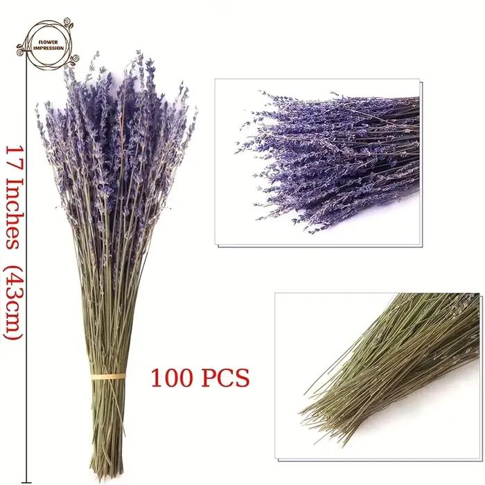 Bouquets de fleurs de µséchées naturelles, fleurs artificielles, décoration pour la maison, le bureau, la fête de mariage, les vacances, les cadeaux, les accessoires de photographie