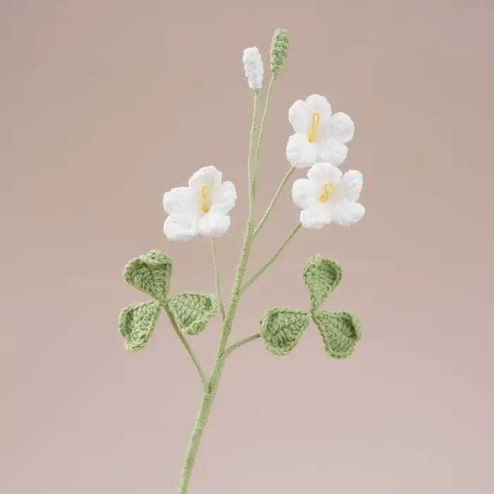 Bouquet au Crochet Oxalis mignon