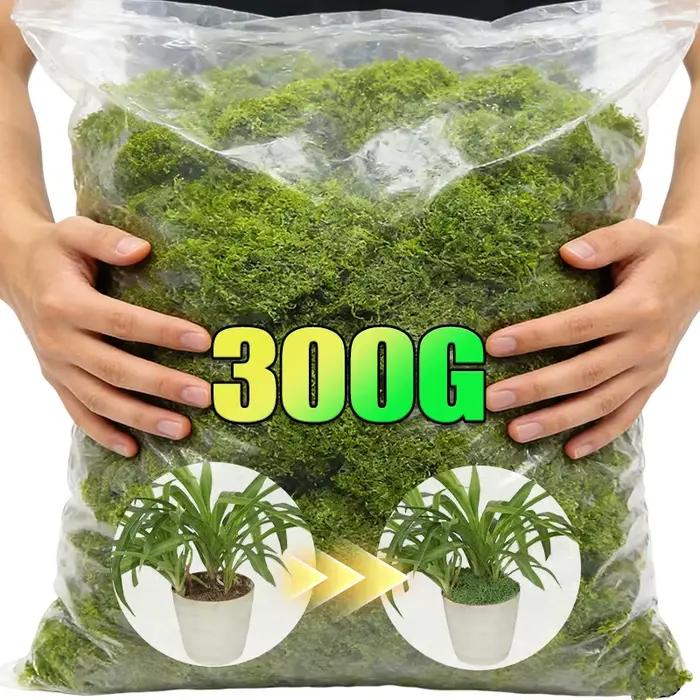 Plantes vertes artificielles, mousse éternelle, mousse artificielle préservée pour artisanat DIY, mini-paysage, fausse herbe, décoration de pot de plantes