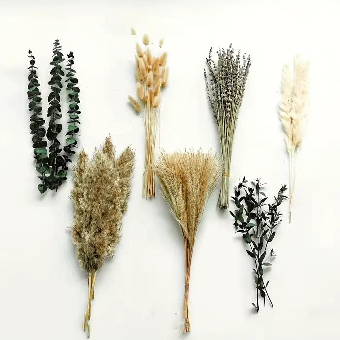 90 pièces Pampas fleurs séchées lapin queue