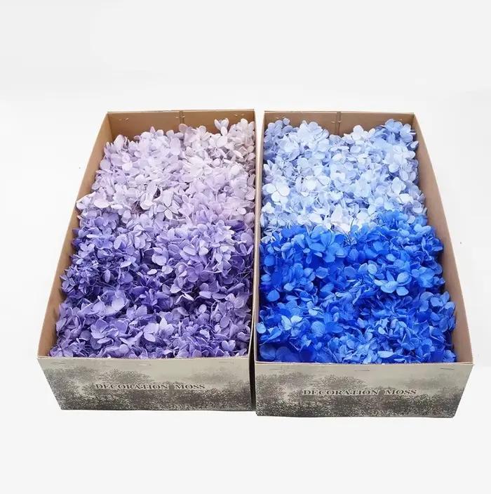 100G Grade B Hortensia en bois fleurs pour toujours