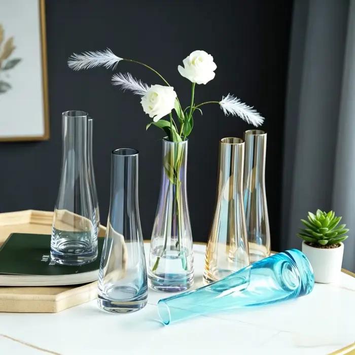 Vases en verre modernes pour fleurs hydroponiques