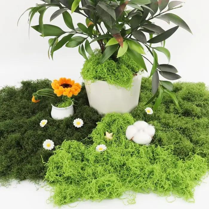 Plantes vertes artificielles, mousse éternelle, mousse artificielle préservée pour artisanat DIY, mini-paysage, fausse herbe, décoration de pot de plantes