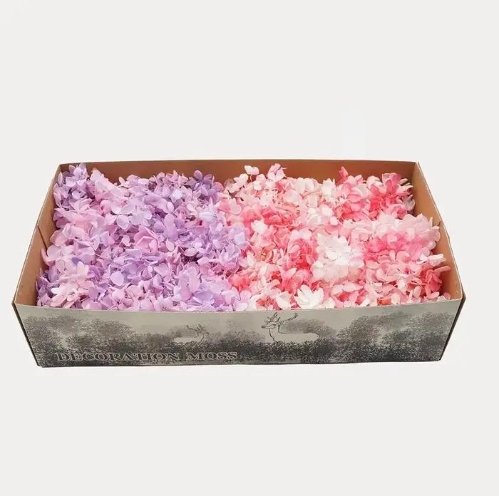 100G Grade B Hortensia en bois fleurs pour toujours