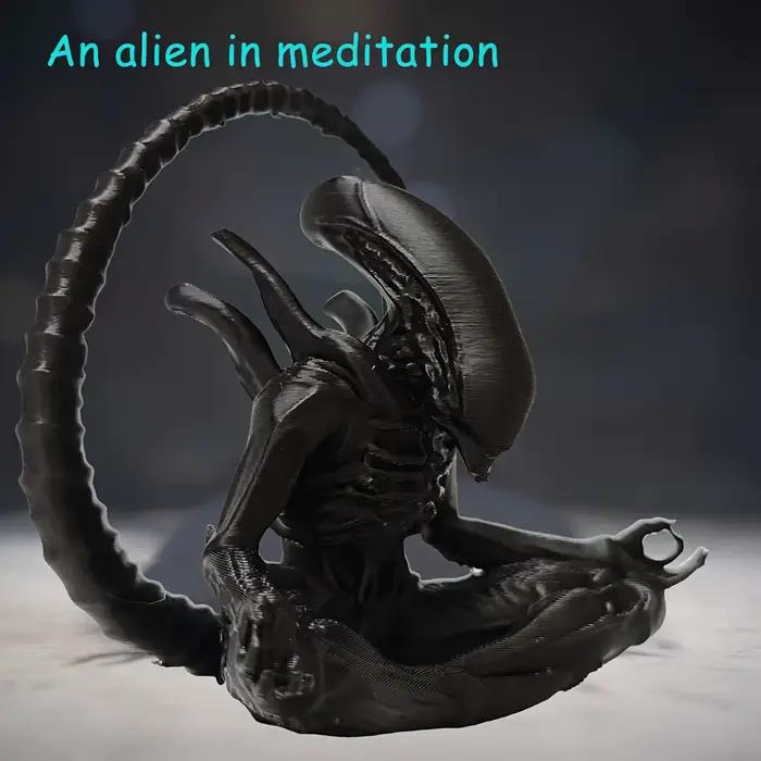 Un ornement extraterrestre en méditation