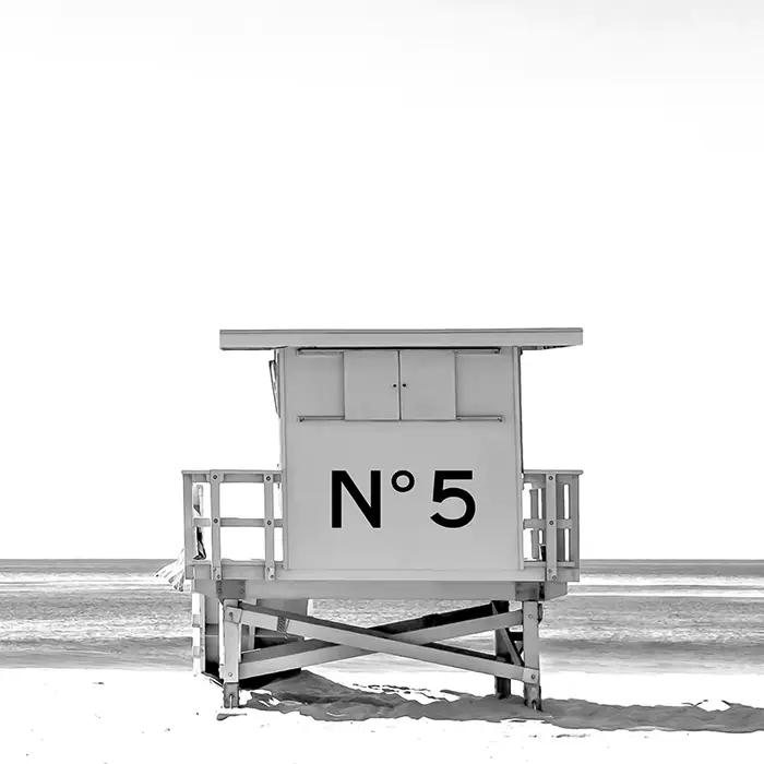 Affiche de photographie de paysage de plage de palmier noir et blanc