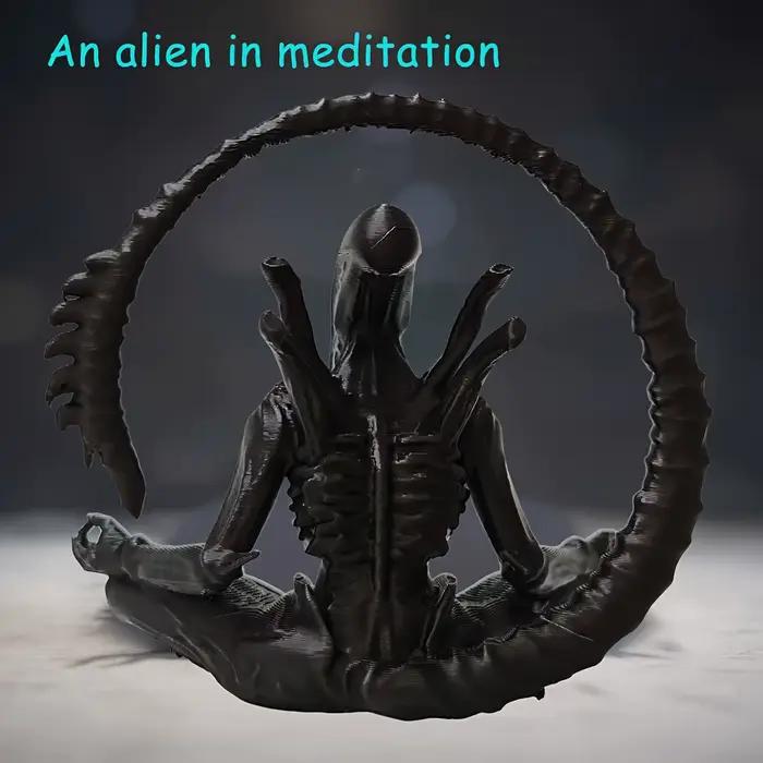 Un ornement extraterrestre en méditation