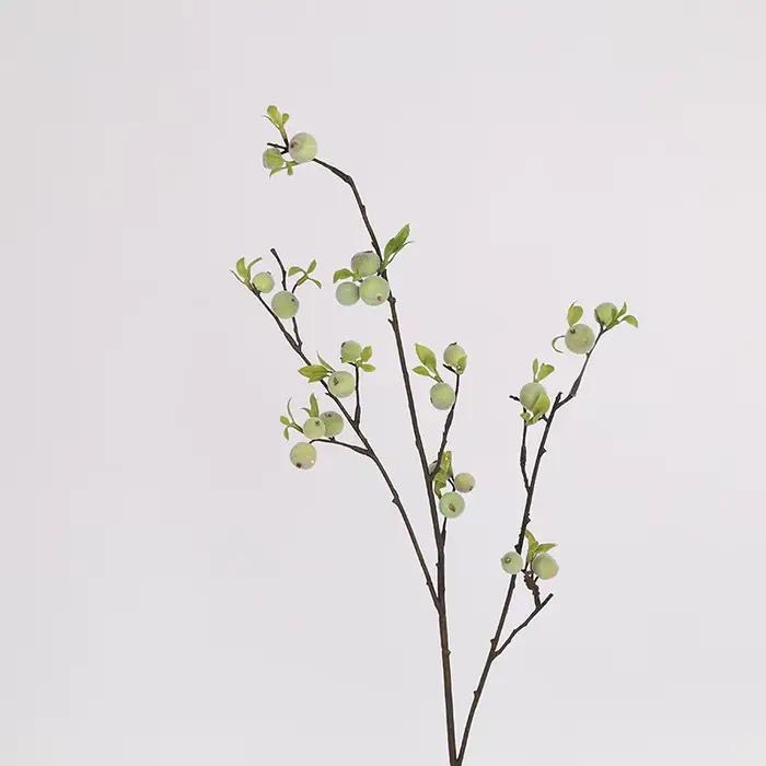 Branche de fleurs de baies pour la décoration de la maison