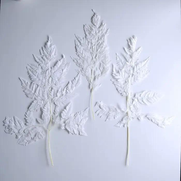 Feuille de fougère alpine