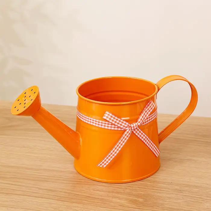 Arrosoir compact 1L avec tête de pulvérisation