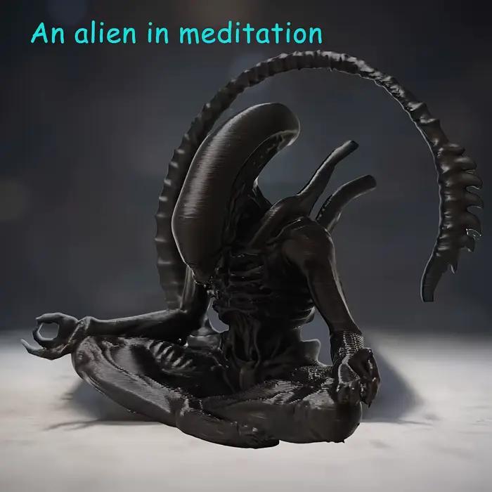 Un ornement extraterrestre en méditation