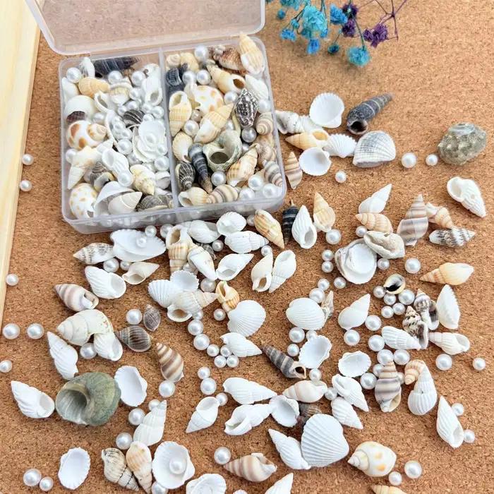 1/2 boîtes de coquillages mixtes naturelles