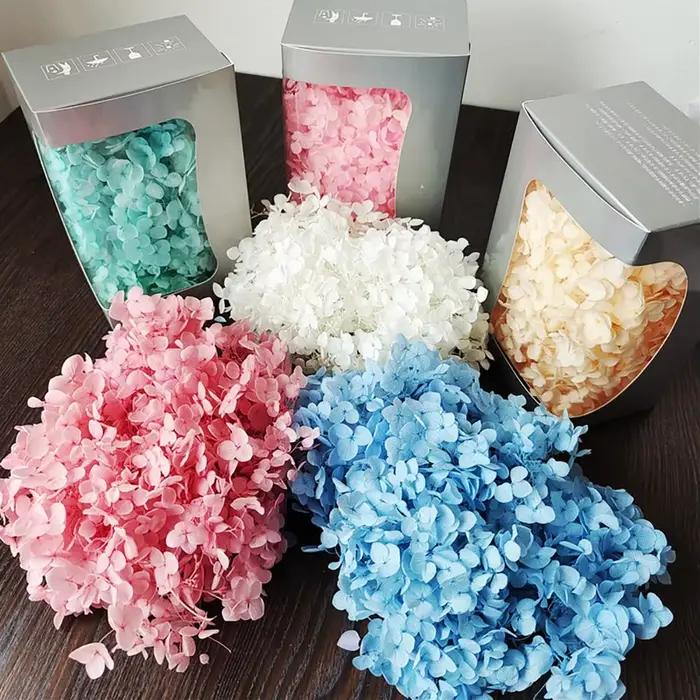 Fleurs d'hortensia séchées 20g