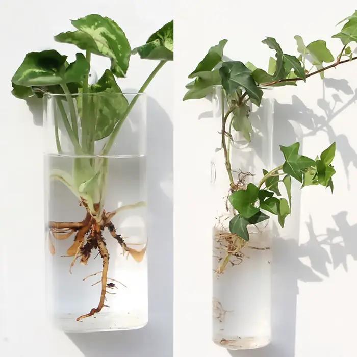 Vase à fleurs en verre suspendu au mur, Terrarium mural pour Aquarium, conteneur de fleurs, Pots de jardinière, décoration de jardin de maison