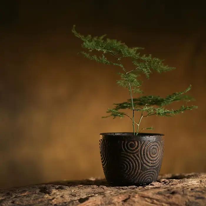 Pot à bonsaï sculpté en forme de nuage d'argile en céramique