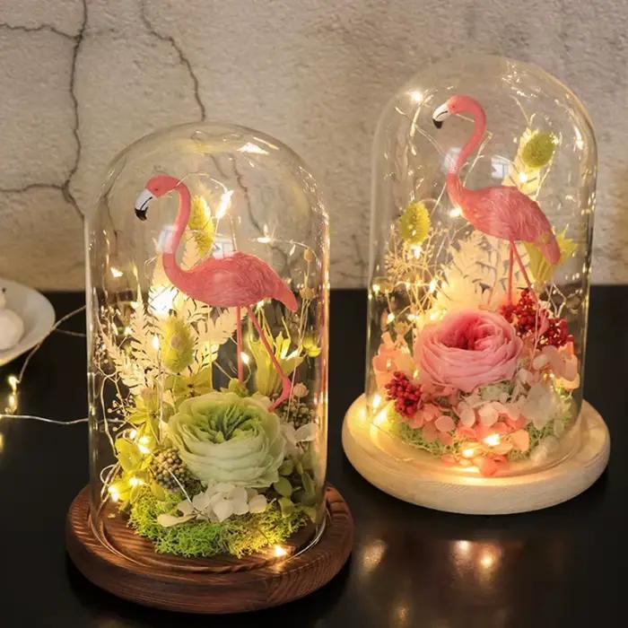 Présentoir en Verre Transparent avec Base en Bois pour Décoration